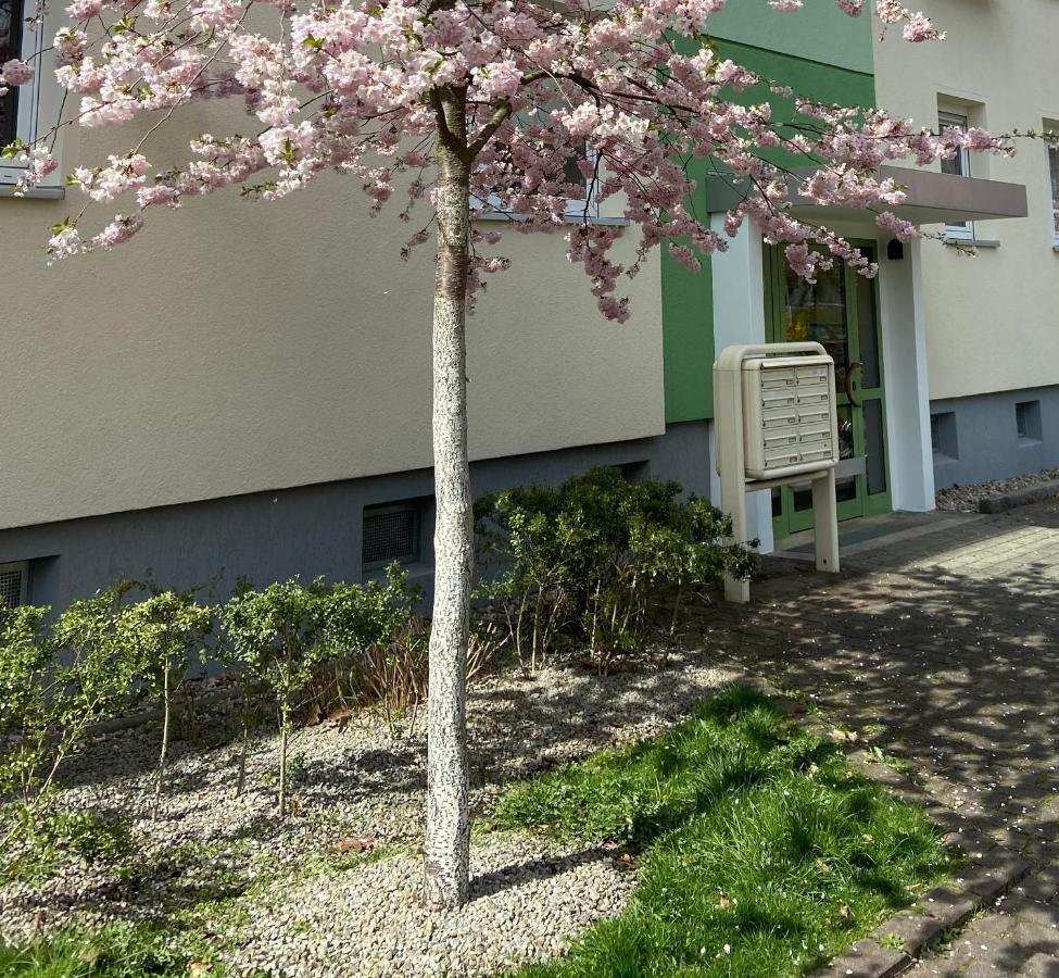 Schöne kleine Wohnung Cottbus Exterior foto